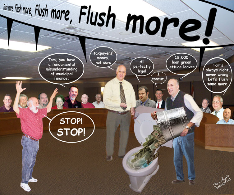 Flush Money Cartoon